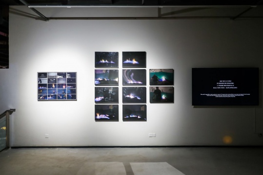 管怀宾 《焰园》 尺寸可变 摄影、影像 2013～2018
