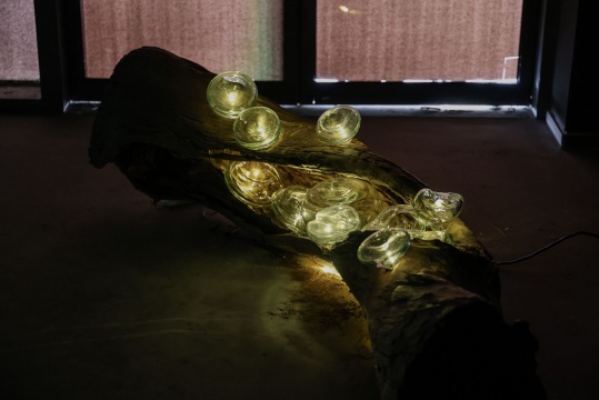 王昊悦 《呼吸》 装置 180x85x85cm 玻璃、树干、呼吸灯、灯串 2024
王昊悦 《呼吸》 装置 180x85x85cm 玻璃、树干、呼吸灯、灯串 2024