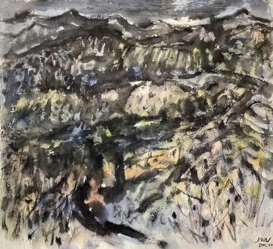 翁剑青《山野》45×50cm 墨、色彩、皮纸 2023
翁剑青《山野》45×50cm 墨、色彩、皮纸 2023