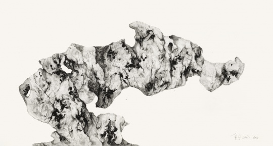 盖会宁 2015 石婆龙 98×180cm
盖会宁 2015 石婆龙 98×180cm