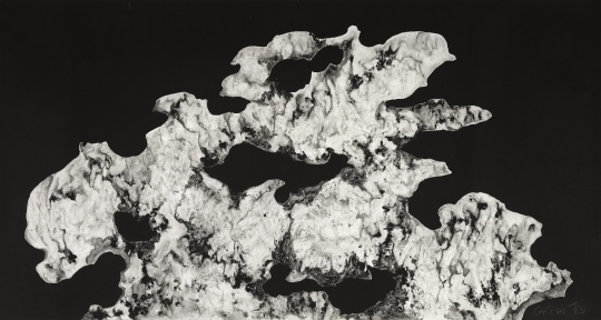 盖会宁 2020 繁花 98×180cm
盖会宁 2020 繁花 98×180cm