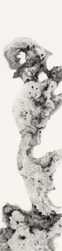 盖会宁 2017 致敬八大山人 140×35cm 盖会宁 2017 致敬八大山人 140×35cm