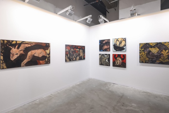 MJK GALLERY A13
MJK GALLERY A13