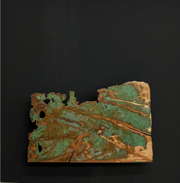 王家增《蚀-1》30×30cm 铜板蚀刻、木板 2021
王家增《蚀-1》30×30cm 铜板蚀刻、木板 2021