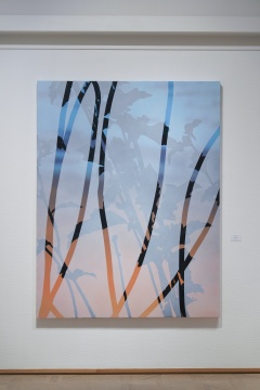 李天琦《风与木槿花 - 1 》,200×155cm,布面丙烯,2024
李天琦《风与木槿花 - 1 》,200×155cm,布面丙烯,2024