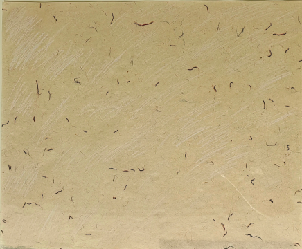 菅木志雄《受位行》 60x50cm 1982年
菅木志雄《受位行》 60x50cm 1982年