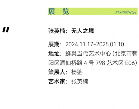 张英楠 反作用力更具张力 张英楠 反作用力更具张力
