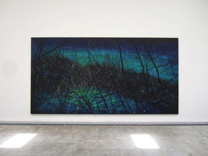 2008年5月，曾梵志个展“太平有象”在香格纳北京空间举办

