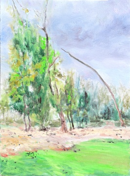 格物抒怀——张哲油画风景展,呈现自然的壮美诗篇 格物抒怀——张哲油画风景展,呈现自然的壮美诗篇