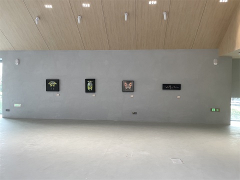 崃州蒸馏厂体验中心盛大启幕 首展“自然呓语”以艺术重构品牌生态叙事 崃州蒸馏厂体验中心盛大启幕 首展“自然呓语”以艺术重构品牌生态叙事