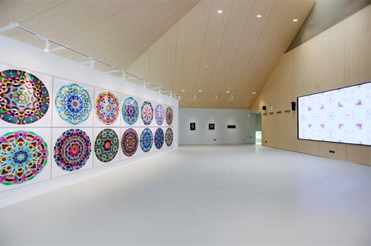 《微醺:幻花实境》展区
《微醺:幻花实境》展区