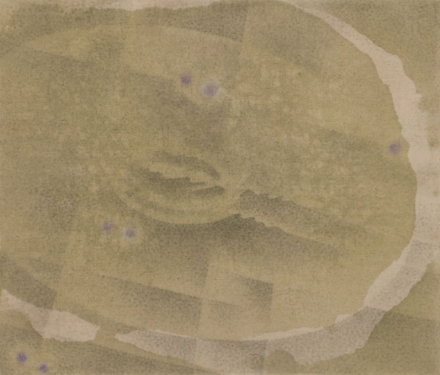 《藻类》85×100cm 墨、丙烯、色粉、赤玉土、亚麻布 2024
《藻类》85×100cm 墨、丙烯、色粉、赤玉土、亚麻布 2024
