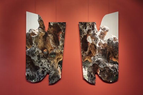镜#14，颜料喷墨打印、裱贴于铝塑板，141 x 77 cm x 2，2025
