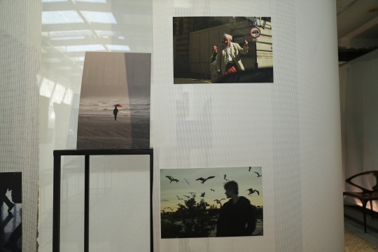 「一种必要的暗度:练习看见的第五年」邱随灵首次个展,用镜头写下的青春期独白 「一种必要的暗度:练习看见的第五年」邱随灵首次个展,用镜头写下的青春期独白