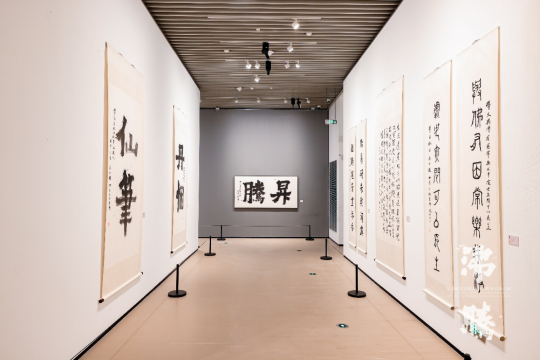 致敬书坛巨匠——赵冷月诞辰110周年书法大展启幕 致敬书坛巨匠——赵冷月诞辰110周年书法大展启幕