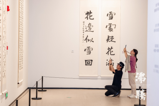 致敬书坛巨匠——赵冷月诞辰110周年书法大展启幕 致敬书坛巨匠——赵冷月诞辰110周年书法大展启幕