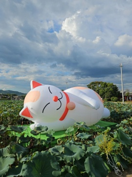 戴耘《猫着》

800×470×370cm，气膜、综合材料，2025
