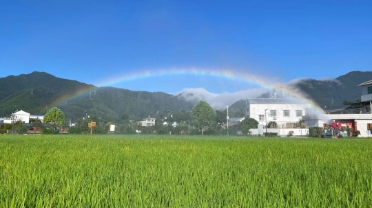 杨千《虹》

尺寸可变，场域艺术：造雪机，水泵等综合材料2025
