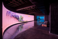 「现代汽车 × 宇宙万物：跨越十年的共创」 展览于现代汽车文化中心启幕