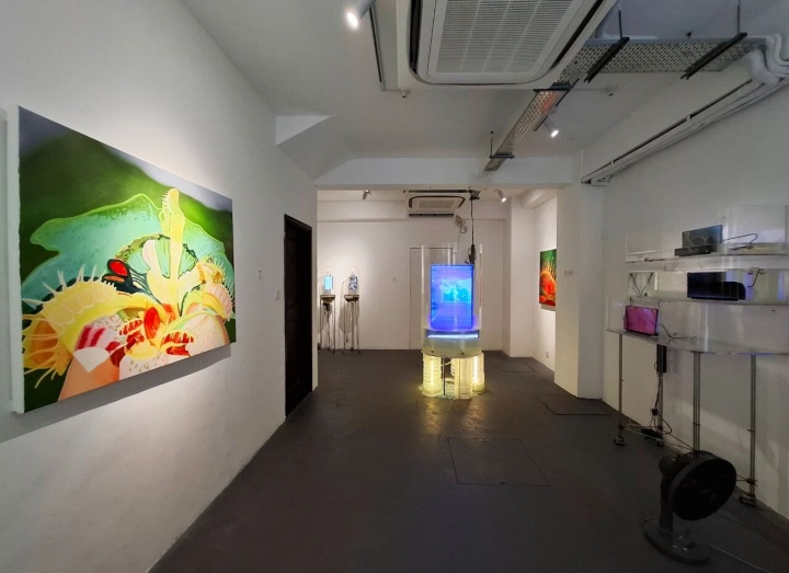 “湿件半岛”展览现场

摄影：李绮霞
