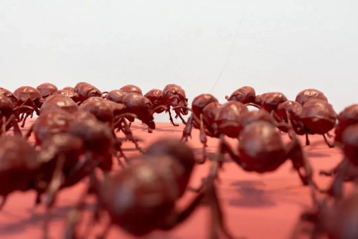 赵仁辉（新加坡）《为气候而来，为混乱而驻》
尺寸可变 丙烯、3D打印 2025

 
