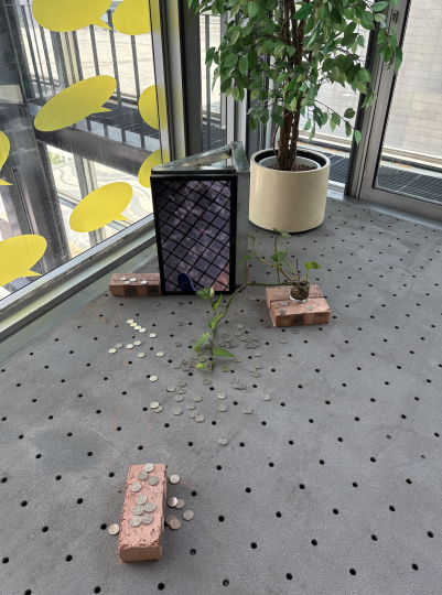 白双全（中国香港） 《谷之旅（2025澳门版）》 尺寸可变

概念艺术 短片、相片或实物 2007-2025

澳门艺术博物馆展览现场

摄影：罗颖

 
