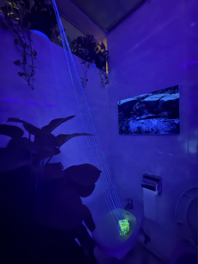 林岚 《来自星星的洁癖菌》 尺寸可变 装置

公共厕所、澳门石头、紫光灯、白线 2025

澳门艺术博物馆展览现场

摄影：罗颖

 
