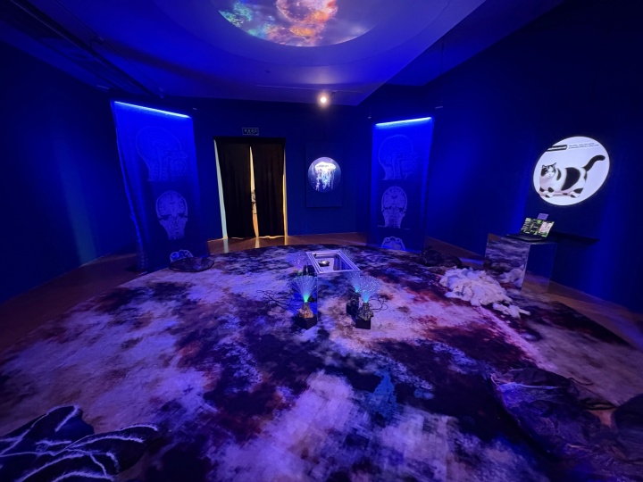 詹宏禄（中国台湾）《与内在异星相遇》

754×716×300cm 影像装置 2023


澳门艺术博物馆展览现场

摄影：罗颖

