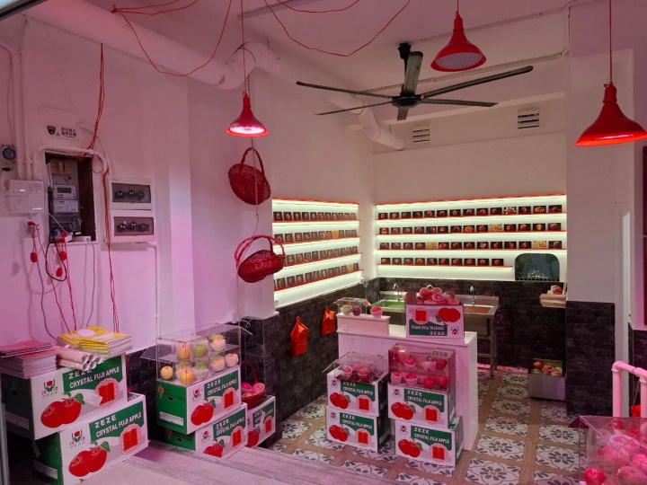 在全世界最富有的小城，艺术的Saida在哪？