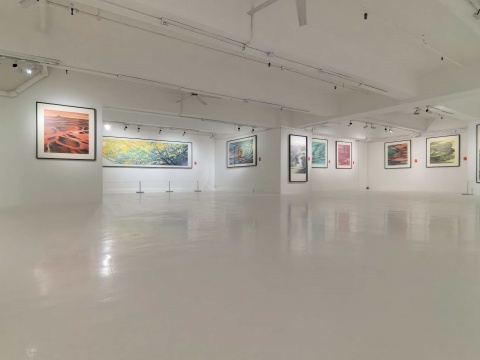 赵之境个展在境·美术馆开幕 助推水墨从香港走向国际 赵之境个展在境·美术馆开幕 助推水墨从香港走向国际