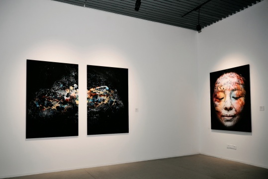 覃云当代视觉艺术展《相•200万》之肌肤上的宇宙
