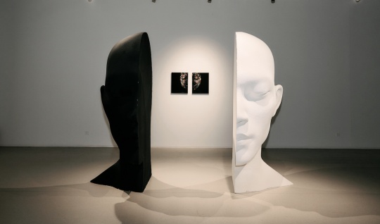 覃云当代视觉艺术展《相•200万》之肌肤上的宇宙