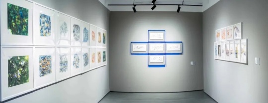 徐善循西岸艺博会作品：“向着那个干净自由的世界，哪怕挪一寸也欢喜。”