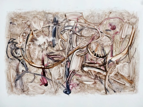 徐善循西岸艺博会作品：“向着那个干净自由的世界，哪怕挪一寸也欢喜。”