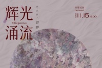 《辉光涌流》曾晖个展｜坚韧的破碎之花