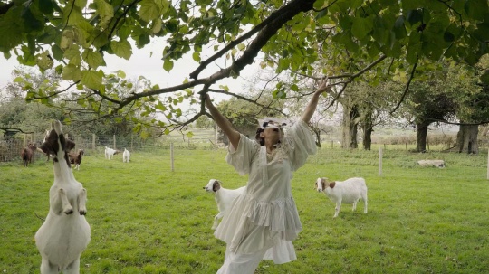 当代艺术项目“艺术行为在大地”，展现地方与全球的对话