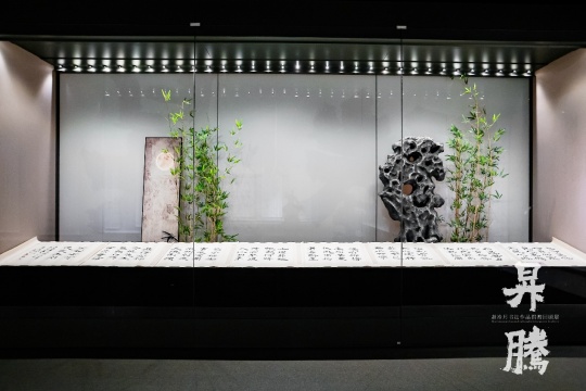 笔墨归乡 精神升腾：赵冷月书法作品捐赠回顾展在嘉兴博物馆启幕