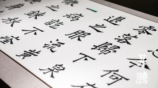 笔墨归乡 精神升腾：赵冷月书法作品捐赠回顾展在嘉兴博物馆启幕