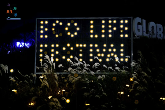 山海共生的深圳回答：首届梅沙艺术季，一场以生态为名的社会实验