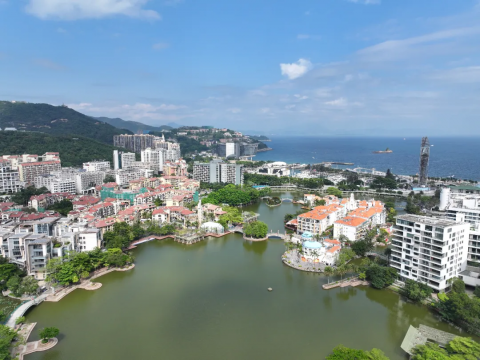 山海共生的深圳回答：首届梅沙艺术季，一场以生态为名的社会实验