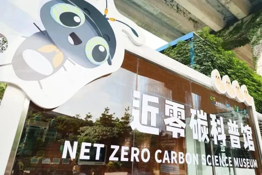 山海共生的深圳回答：首届梅沙艺术季，一场以生态为名的社会实验