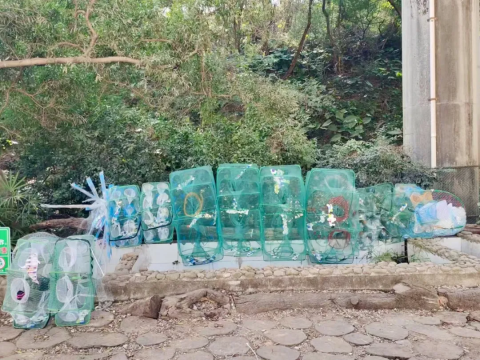 山海共生的深圳回答：首届梅沙艺术季，一场以生态为名的社会实验