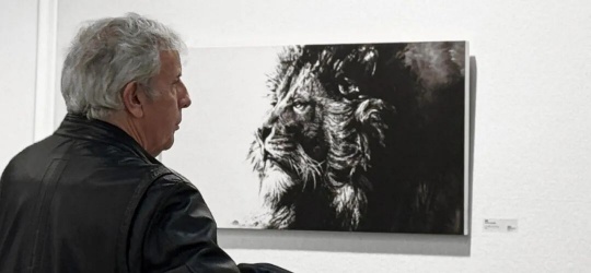 巴黎回声：张肇达水墨“醒狮”展示东方哲思