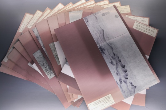 浙江大学图书馆藏方闻教学卡
