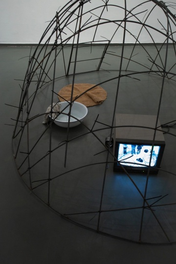 沈远《马特奥与我》

尺寸可变&nbsp;图画、照片、铁笼、地毯、洗脸盆、抹布、影像 2019-2021
