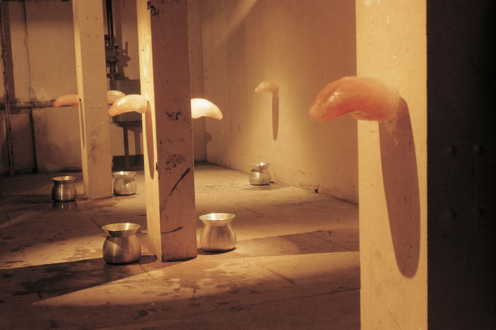 沈远《白费口舌》尺寸可变&nbsp;冰、刀 1994
