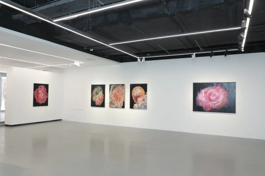 00后艺术家时尚国内首次个展《腹语术》在798艺术区开幕