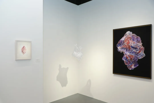 00后艺术家时尚国内首次个展《腹语术》在798艺术区开幕