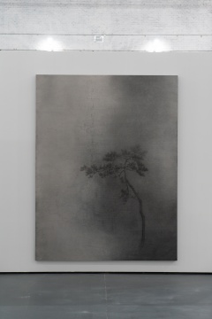 展出作品
