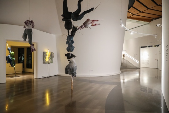 桂湖美术馆 开幕现场 | 陈春木个展